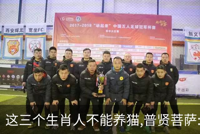 这三个生肖人不能养猫,普贤菩萨:不是养不起,是相生相克,因果相撞